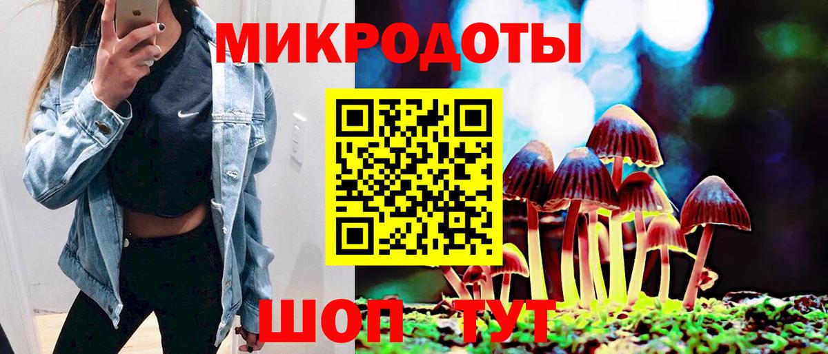 наркотики  Вход с VPN  Шатура  Псилоцибиновые грибы MAGIC MUSHROOMS 