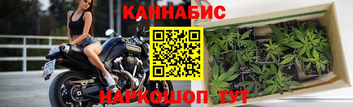 Шишки марихуана индика Шатура